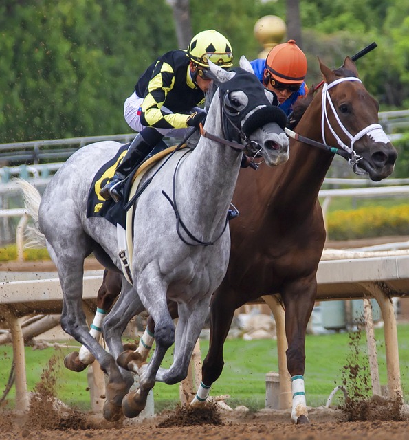 争激烈的联 争激烈的联